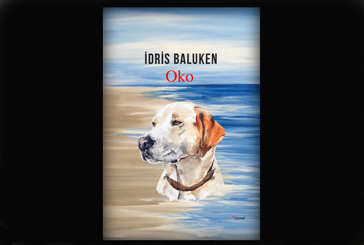 Oko: Alternatif Okumaya Bir Davet